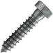 Stainless Steel Lag Screw, 1/4" x 1" (for locker bench)