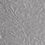 Stainless Steel Toilet Partitions